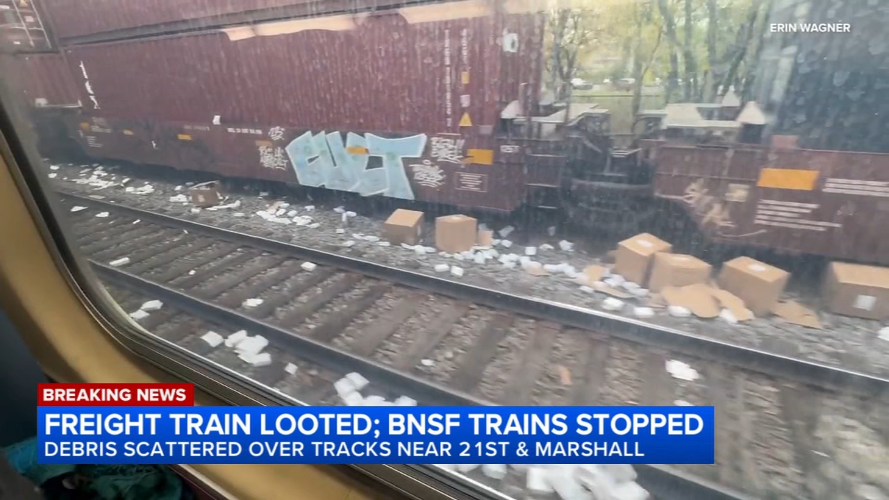 Freight train looted on West Side; BNSF services delayed, Metra says
— Libertyville Community news