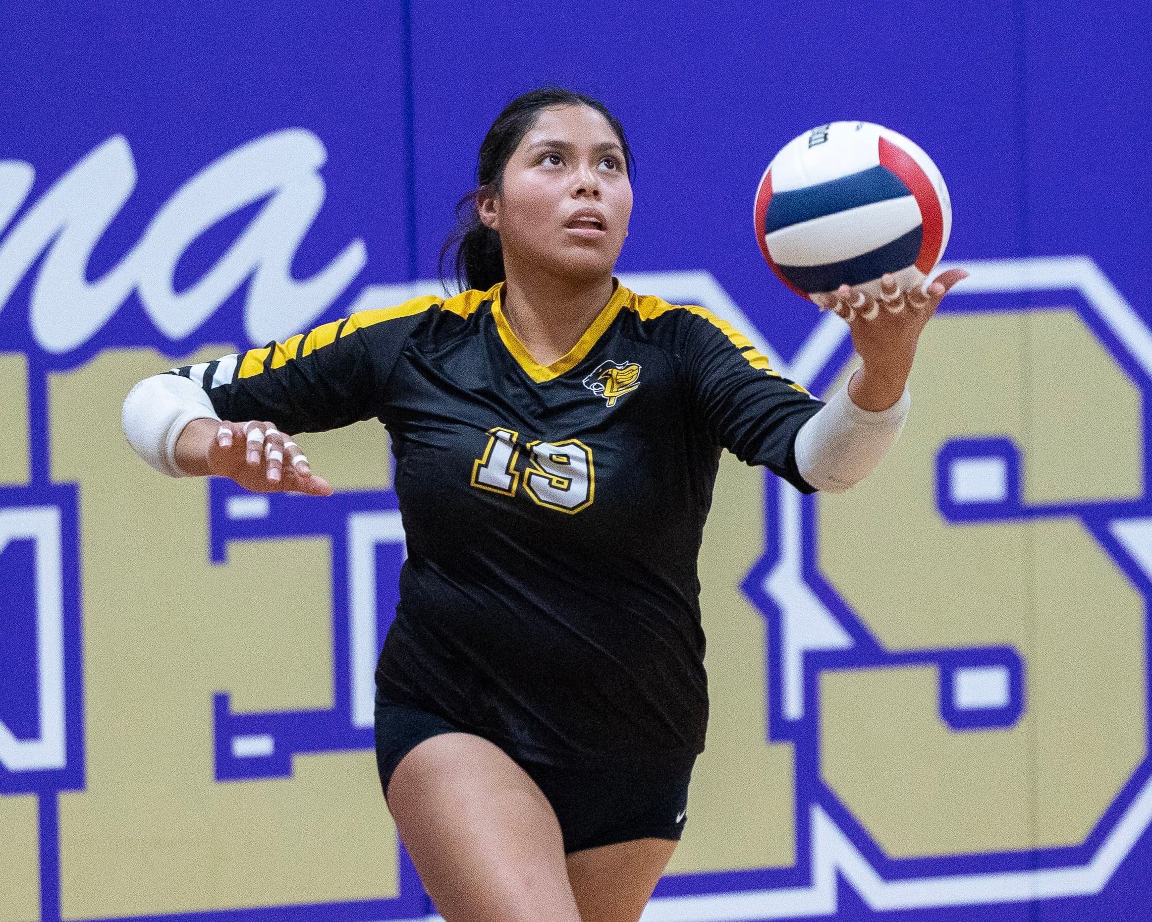 Putnam County volleyball falls in regional final: Thursday’s NewsTribune/BCR roundup — Libertyville Community news